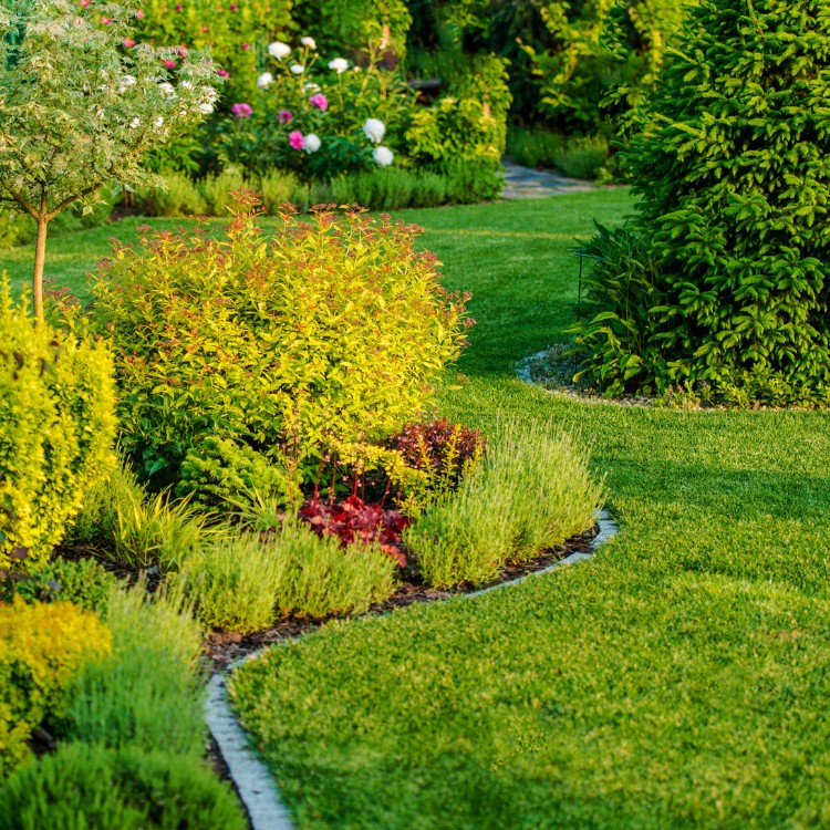 Outdoor services in Ypsilanti, MI Outdoor services in Ypsilanti, MI